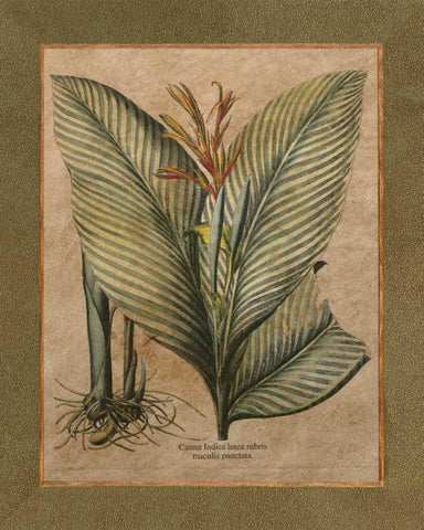 Valencia II Black Ornate Wood Framed Art Print with Double Matting by Alexander, Zachary