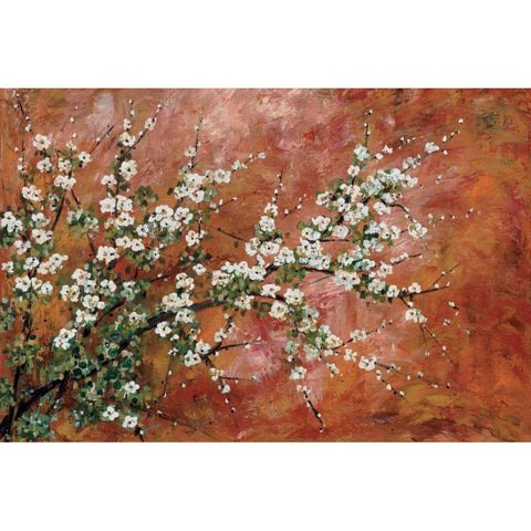Wild Plum Blossoms White Modern Wood Framed Art Print by Alexander, Zachary