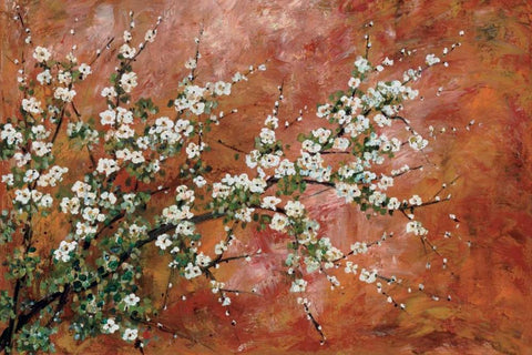 Wild Plum Blossoms Black Ornate Wood Framed Art Print with Double Matting by Alexander, Zachary