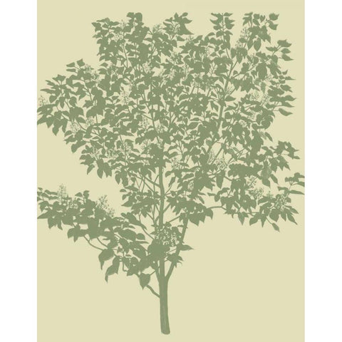 All American III White Modern Wood Framed Art Print by Davies, Susan