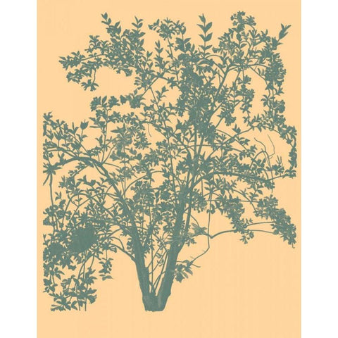 All American IV White Modern Wood Framed Art Print by Davies, Susan