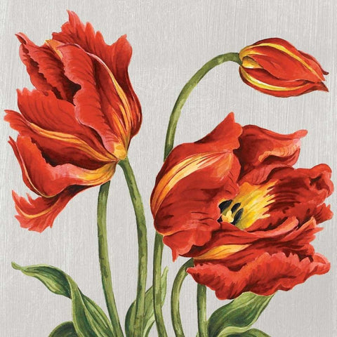 Tulips on Silk Black Ornate Wood Framed Art Print with Double Matting by Shelby, Judy