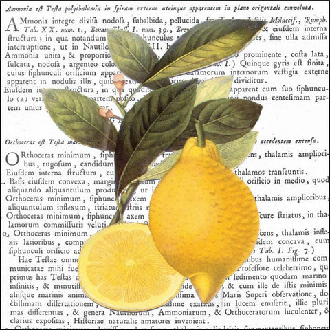 Citrus Edition I Gold Ornate Wood Framed Art Print with Double Matting by Bannister, Cory