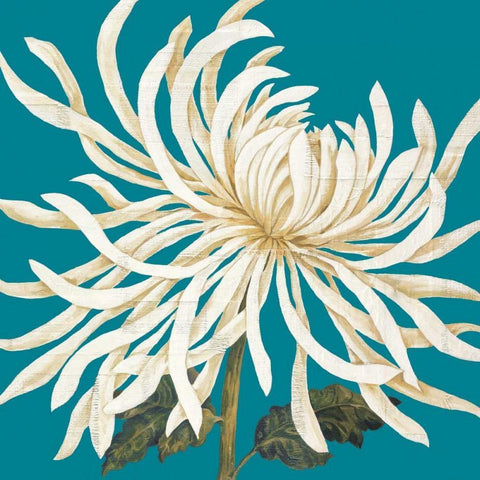 Mums The Word I White Modern Wood Framed Art Print by Nicole, Lily