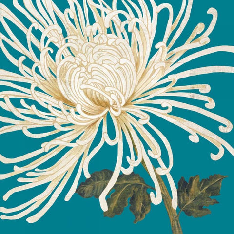 Mums The Word II White Modern Wood Framed Art Print by Nicole, Lily