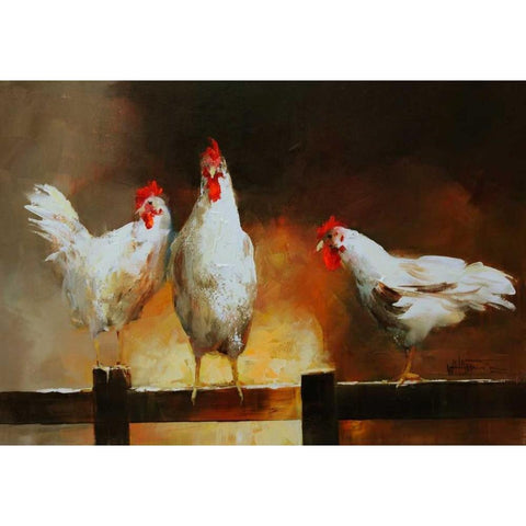 Chicken II White Modern Wood Framed Art Print by Haenraets, Willem