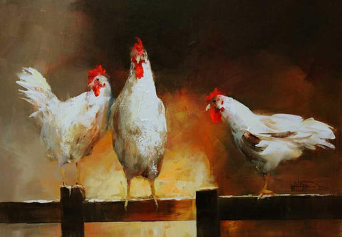 Chicken II White Modern Wood Framed Art Print with Double Matting by Haenraets, Willem