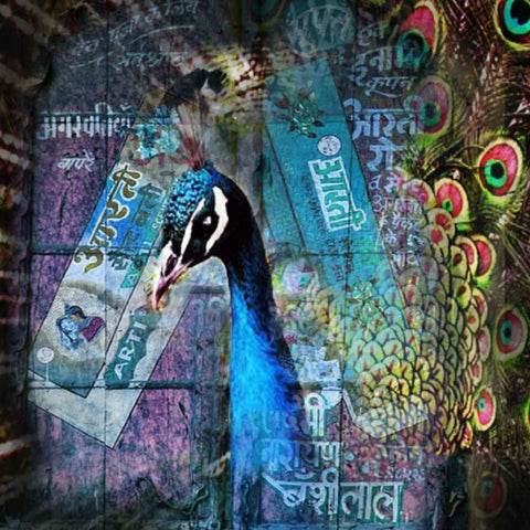 Peacock Black Modern Wood Framed Art Print by de Haas, Mascha