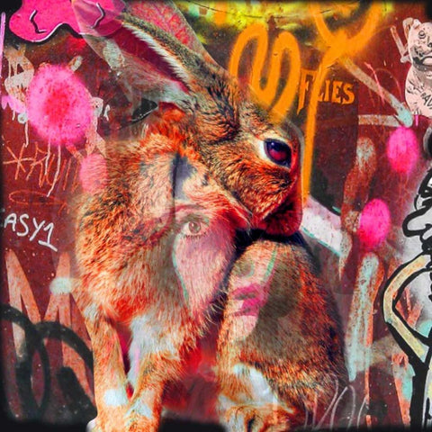 Bunny White Modern Wood Framed Art Print with Double Matting by de Haas, Mascha