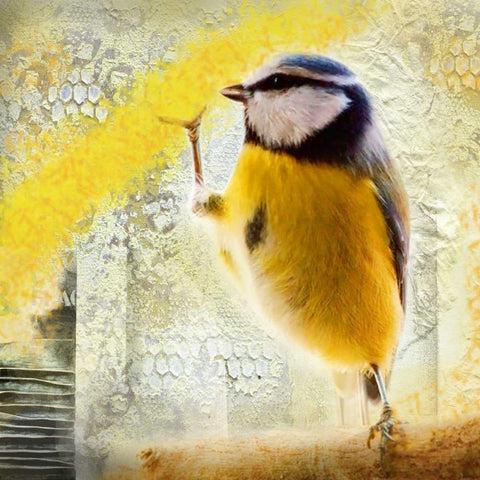 Birdy Black Modern Wood Framed Art Print by de Haas, Mascha