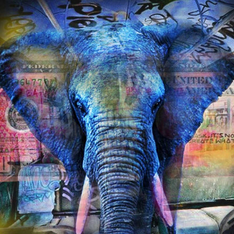 Elefantastic White Modern Wood Framed Art Print with Double Matting by de Haas, Mascha