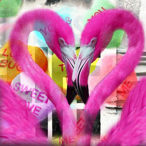 Flamingo White Modern Wood Framed Art Print by de Haas, Mascha