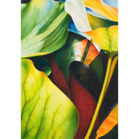 Nymphea 2 White Modern Wood Framed Art Print by Koch, Angelika