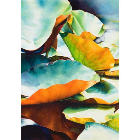 Nymphea 3 Gold Ornate Wood Framed Art Print with Double Matting by Koch, Angelika