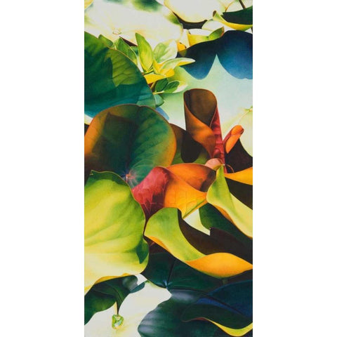 Nymphea 4 White Modern Wood Framed Art Print by Koch, Angelika