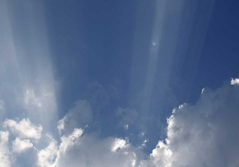 Hoffnung 1 Black Ornate Wood Framed Art Print with Double Matting by Paprotny, Bogdan