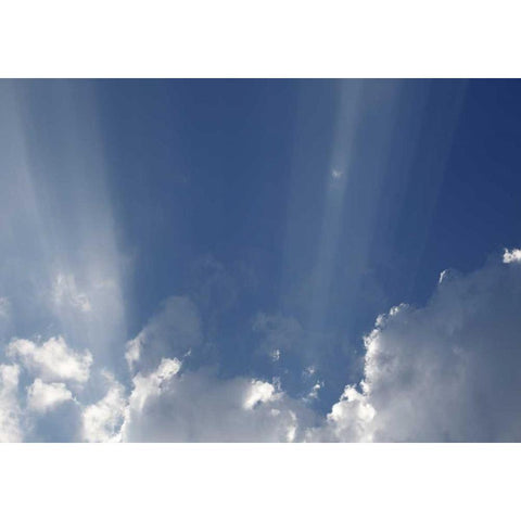 Hoffnung 1 Gold Ornate Wood Framed Art Print with Double Matting by Paprotny, Bogdan