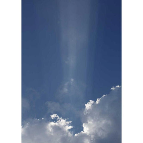 Hoffnung 2 Gold Ornate Wood Framed Art Print with Double Matting by Paprotny, Bogdan