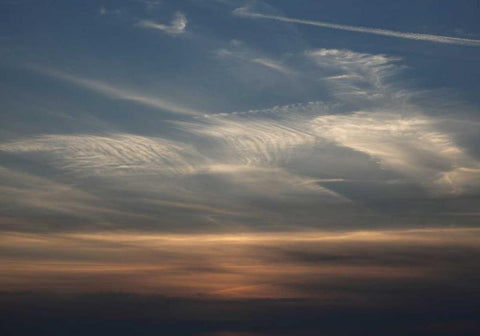 Stille White Modern Wood Framed Art Print with Double Matting by Paprotny, Bogdan