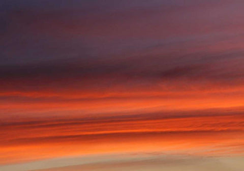 Traum White Modern Wood Framed Art Print with Double Matting by Paprotny, Bogdan