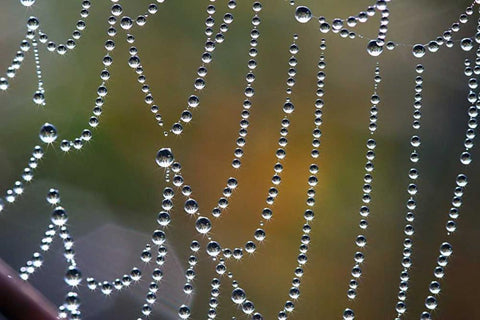 Tausend kleine Sonnen White Modern Wood Framed Art Print with Double Matting by Rossmeissl, Gerhard