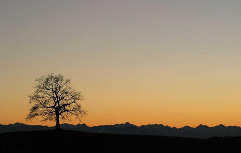 Abenddammerung II Black Ornate Wood Framed Art Print with Double Matting by Rossmeissl, Gerhard