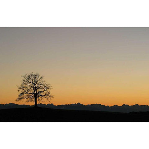 Abenddammerung II Black Modern Wood Framed Art Print by Rossmeissl, Gerhard