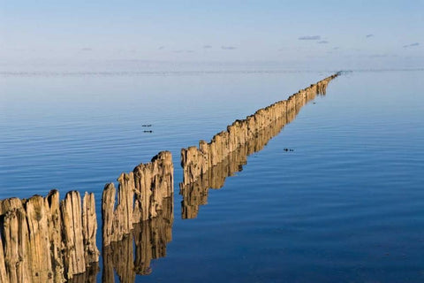 Weite White Modern Wood Framed Art Print with Double Matting by Rossmeissl, Gerhard