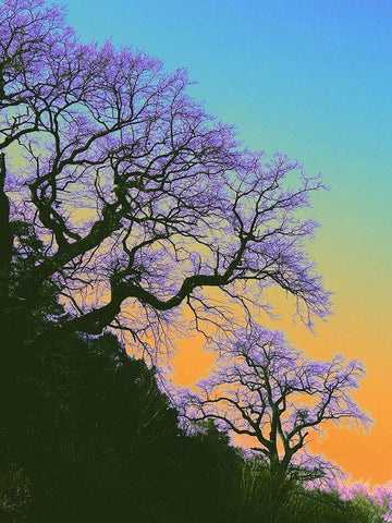 Zeitformen White Modern Wood Framed Art Print with Double Matting by Weissing, Gerd