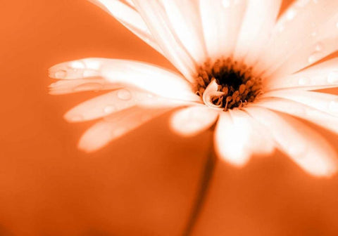 Leaned White Modern Wood Framed Art Print with Double Matting by Riedt, Kirsten