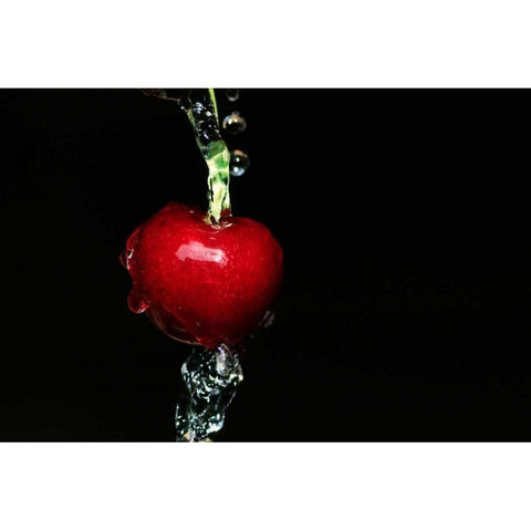 Kirsche Gold Ornate Wood Framed Art Print with Double Matting by Riedt, Kirsten