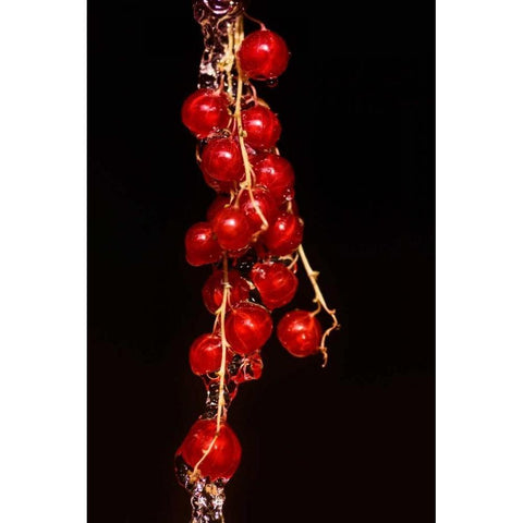 Johannisbeere Gold Ornate Wood Framed Art Print with Double Matting by Riedt, Kirsten