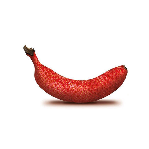 Erdbane Black Modern Wood Framed Art Print with Double Matting by Broszius, Michael