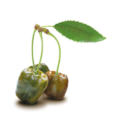 Papkische Black Modern Wood Framed Art Print by Broszius, Michael