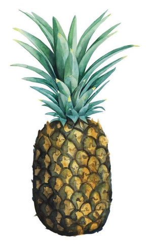 Watercolor Pineapple I White Modern Wood Framed Art Print with Double Matting by Popp, Grace