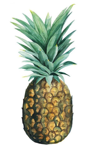 Watercolor Pineapple II Black Ornate Wood Framed Art Print with Double Matting by Popp, Grace