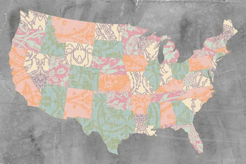 Patterned States I Black Ornate Wood Framed Art Print with Double Matting by Goldberger, Jennifer