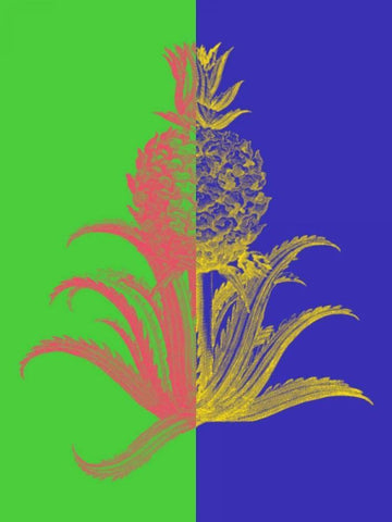 Pineapple Mix I Black Ornate Wood Framed Art Print with Double Matting by Fagalde, Jarman