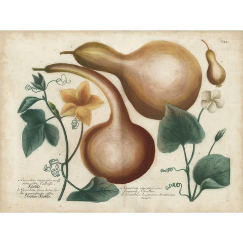 Exotic Weinmann Botanical I White Modern Wood Framed Art Print by Weinmann