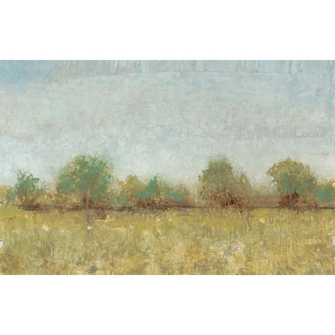 Spring Field I Black Modern Wood Framed Art Print with Double Matting by OToole, Tim