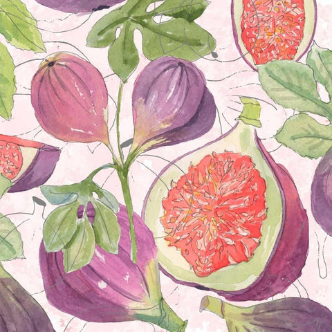 Fig Medley I Black Modern Wood Framed Art Print with Double Matting by Mark, Leslie