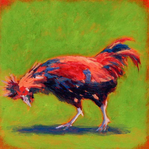 Proud Red II Black Modern Wood Framed Art Print by Young, Carol