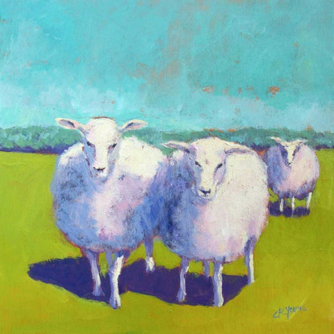 Sheep Pals I White Modern Wood Framed Art Print by Young, Carol