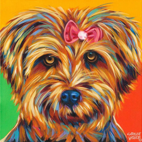 Sweet Yorkie I White Modern Wood Framed Art Print with Double Matting by Vitaletti, Carolee