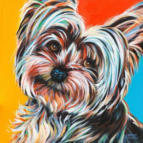 Sweet Yorkie II Black Ornate Wood Framed Art Print with Double Matting by Vitaletti, Carolee