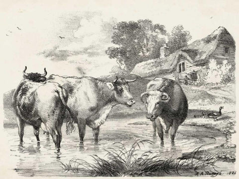 Rural Charms I Black Ornate Wood Framed Art Print with Double Matting by Unknown