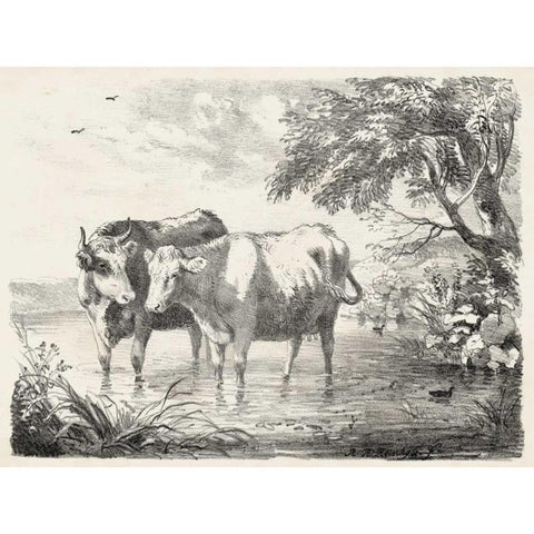 Rural Charms II White Modern Wood Framed Art Print by Unknown