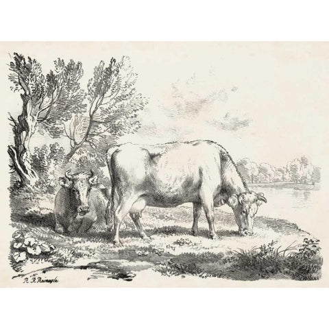 Rural Charms III Black Modern Wood Framed Art Print with Double Matting by Unknown