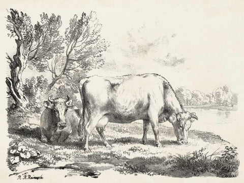 Rural Charms III White Modern Wood Framed Art Print with Double Matting by Unknown