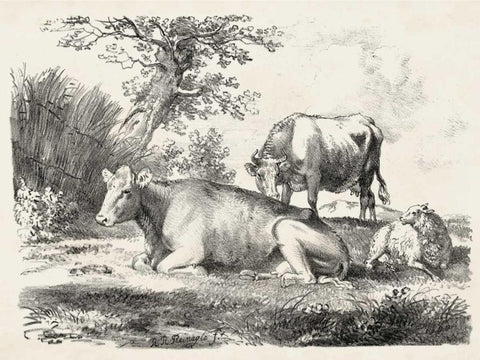 Rural Charms IV Black Ornate Wood Framed Art Print with Double Matting by Unknown